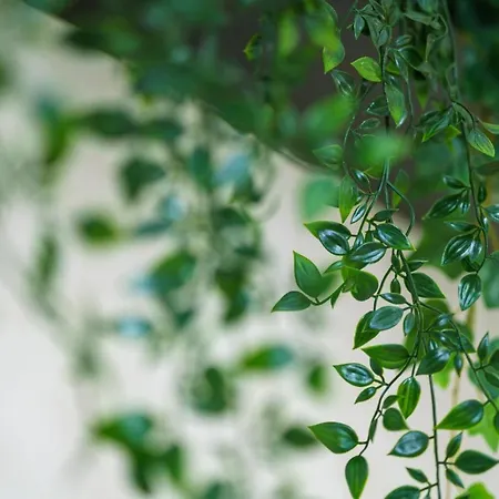 Archi Bianchi Cefalù