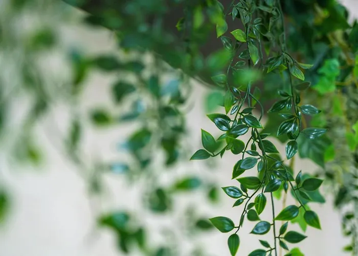 Archi Bianchi Cefalù